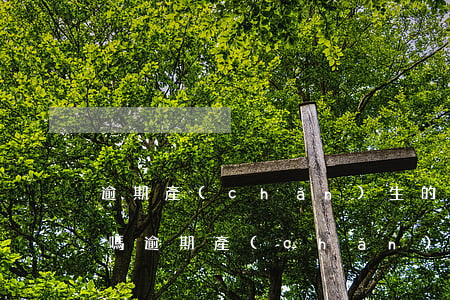 逾期產(chǎn)生的高額費用可以不還嗎，逾期產(chǎn)生的高額費用是否必須償還？